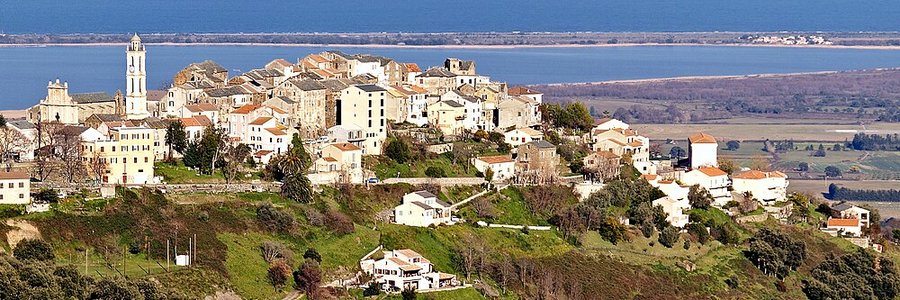 intelligence artificielle Borgo (20290) Haute-Corse 2B (Corse)