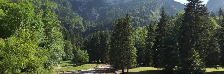 intelligence artificielle Isère 38 (Auvergne-Rhône-Alpes)