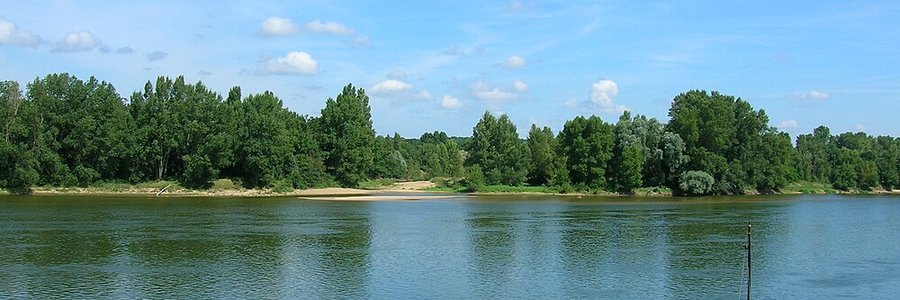 intelligence artificielle Loire 42 (Auvergne-Rhône-Alpes)