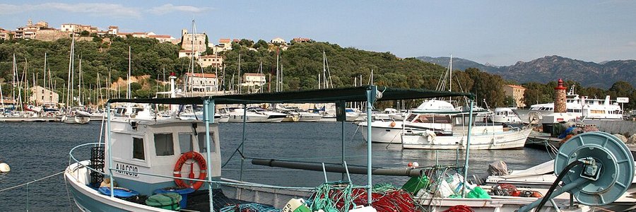 intelligence artificielle Porto-Vecchio (20137) Corse-du-Sud 2A (Corse)