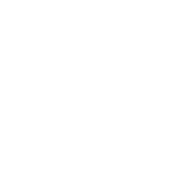 mcp-api